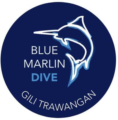 Blue Marlin Dive